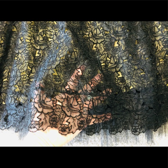 Nicole Miller 100% Silk Lace Dress 6 Prom Formal Party Chic Tulle Lace Ballgown - Picture 10 of 16